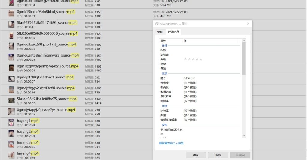 韩国pandor性奴调教